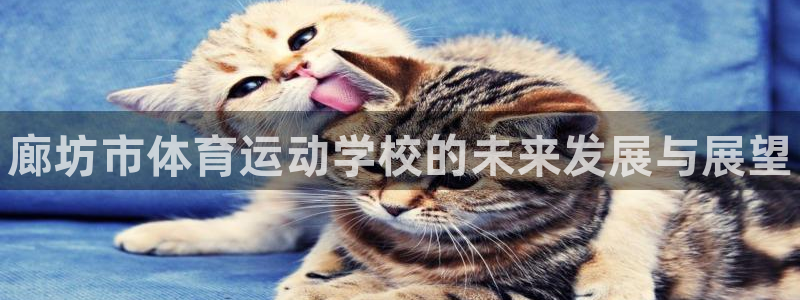 欧亿体育官方正版app神州：廊坊市体育运动学校的未来