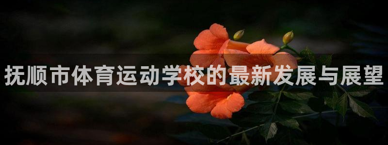 欧亿体育官方正版app娱乐代理怎么样：抚顺市体育运动