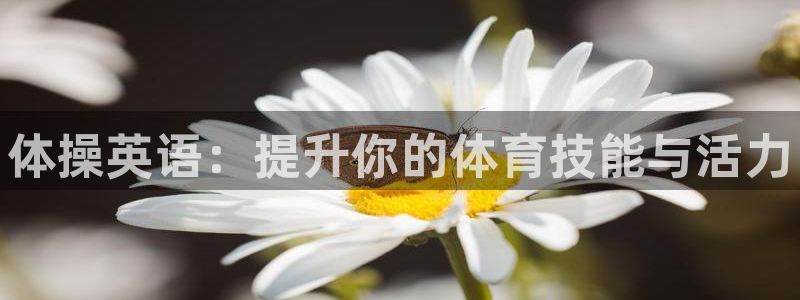 oety欧亿体育官网下载平台注册要钱吗是真的吗：体操