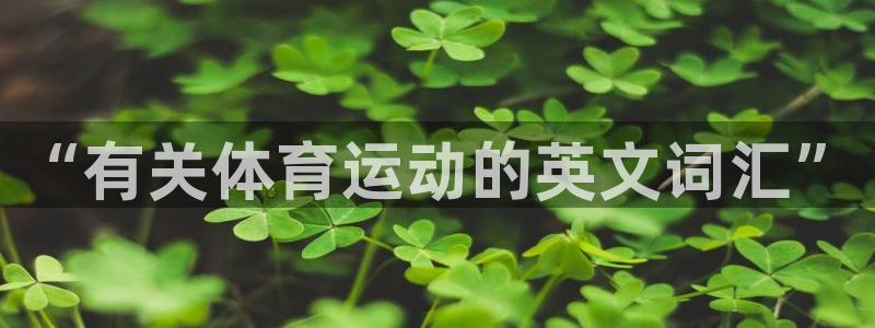 欧亿体育官方正版app神州：“有关体育运动的英文词汇