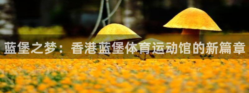 oety欧亿体育官网下载招商电话是多少：蓝堡之梦：香