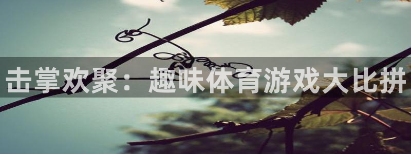 oety欧亿体育官网下载平台：击掌欢聚：趣味体育游戏