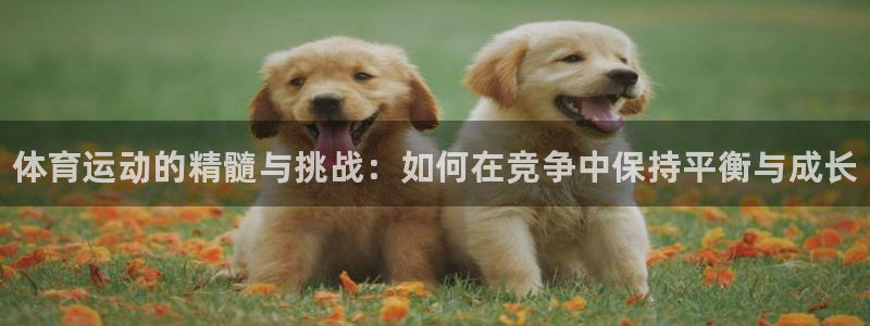 oety欧亿体育官网下载招商电话号码是多少号：体育运