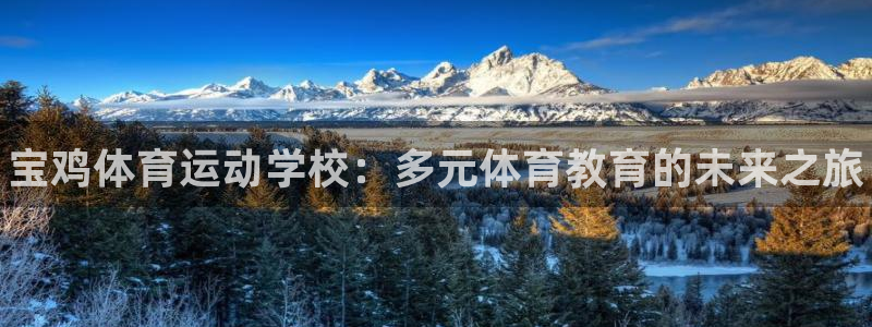 oety欧亿体育官网下载招商电话号码是多少：宝鸡体育