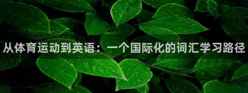 欧亿体育官方正版app开户：从体育运动到英语：一个国