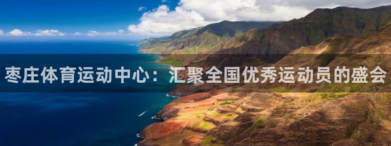 oety欧亿体育官网下载是干嘛的公司：枣庄体育运动中