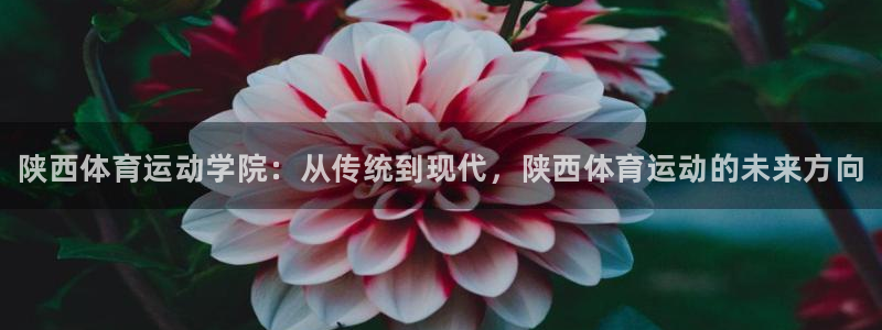 欧亿体育官方正版app娱乐首页官网下载：陕西体育运动