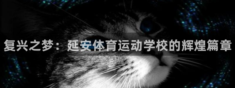 oety欧亿体育官网下载平台注册要钱吗安全吗：复兴之