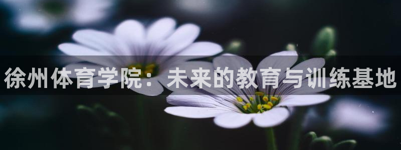 欧亿体育官方正版app五金厂：徐州体育学院：未来的教育与训练