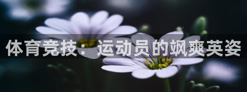 欧亿体育官方正版app五金厂：体育竞技：运动员的飒爽英姿