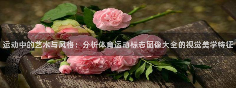 海南oety欧亿体育官网下载：运动中的艺术与风格：分析体育运