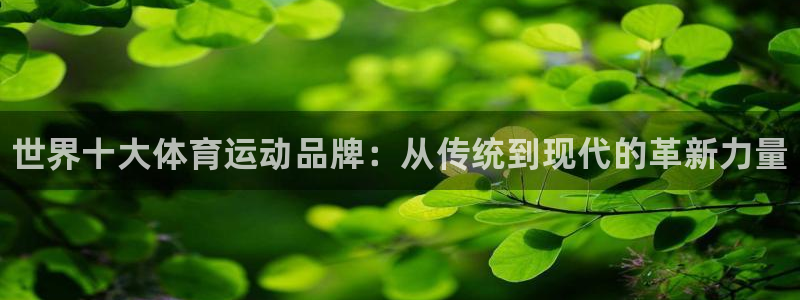 欧亿体育官方正版app集团